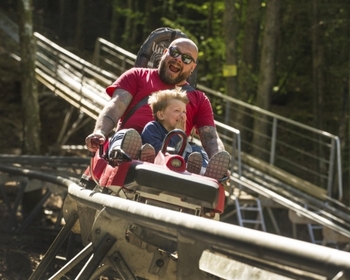 Fforest_Coaster_May17_0027_500_400_c1.jpg